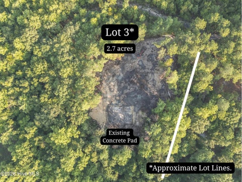 Photo of 0 Us Hwy 117 N #Lot 3, Willard, NC 28478 (MLS # 100604754)