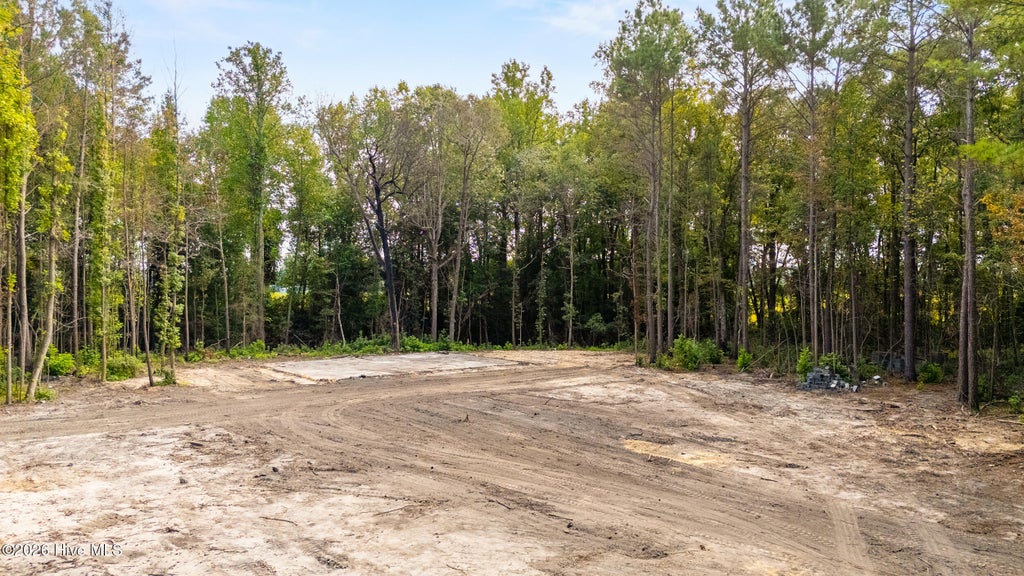 Photo of 0 Us Hwy 117 N #Lot 3, Willard, NC 28478 (MLS # 100604754)