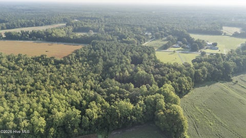 Tiny photo for 0 Us Hwy 117 N #Lot 3, Willard, NC 28478 (MLS # 100604754)
