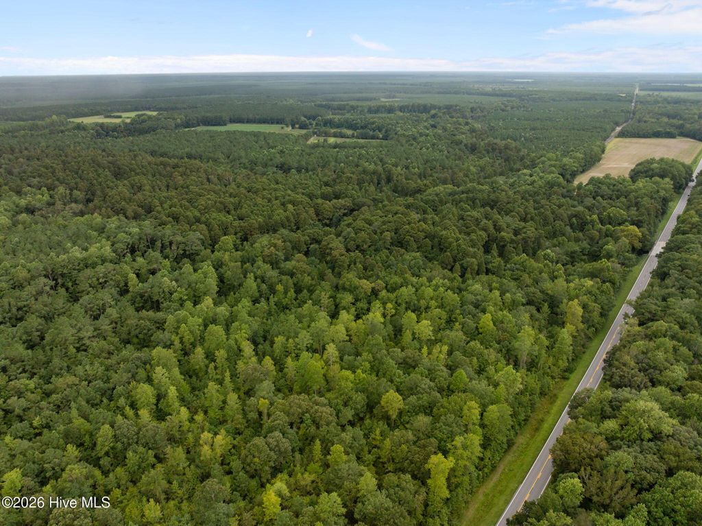 Photo of 0 Old Sandhill Road, Edward, NC 27821 (MLS # 100590466)