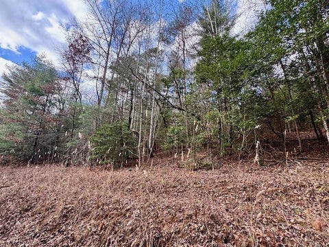Vacant Land For Sale - LOT 9 Timberline Road<br/> Cherokee County, Murphy, NC 28906