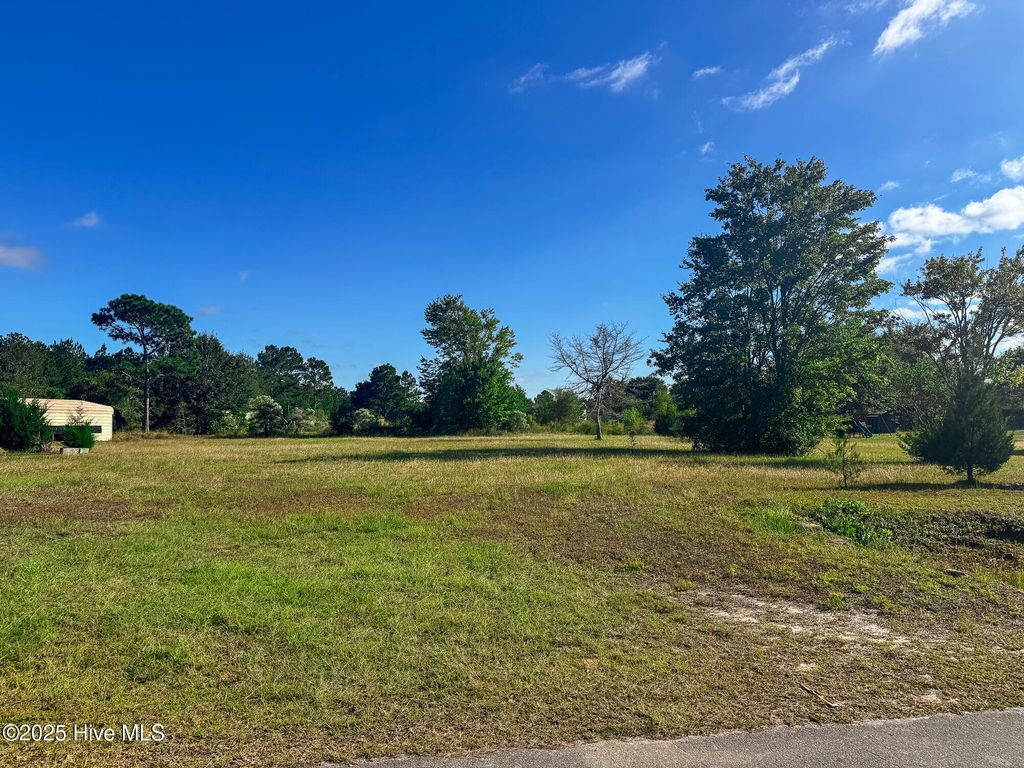 Photo of 3975 Sourwood Court NE, Leland, NC 28451 (MLS # 100537167)