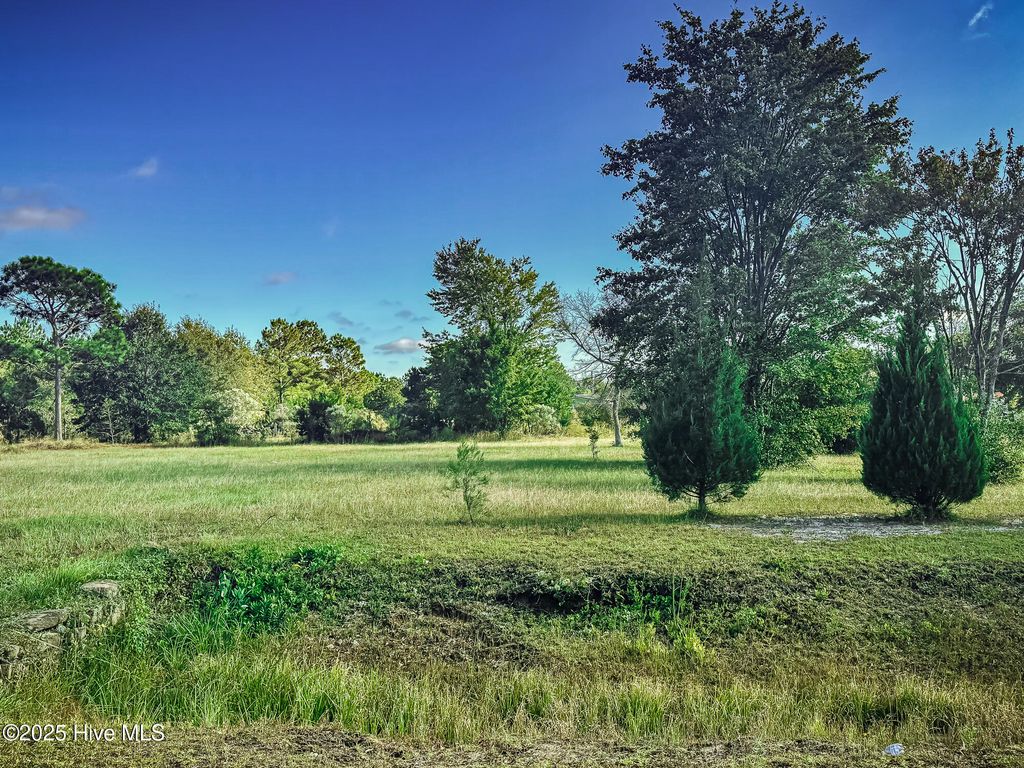 Photo of 3975 Sourwood Court NE, Leland, NC 28451 (MLS # 100537167)