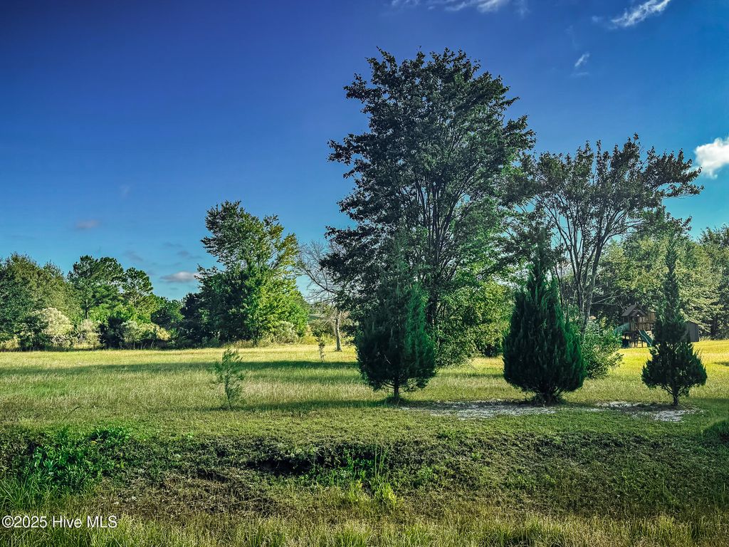 Photo of 3975 Sourwood Court NE, Leland, NC 28451 (MLS # 100537167)