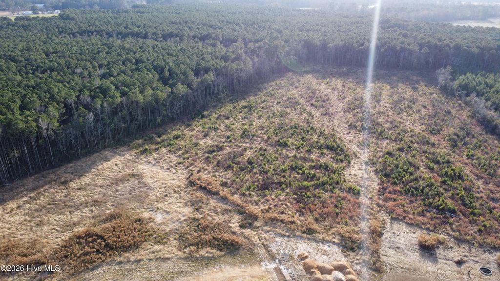 Photo of 33 Talton Estates Drive, Pikeville, NC 27863 (MLS # 100548264)