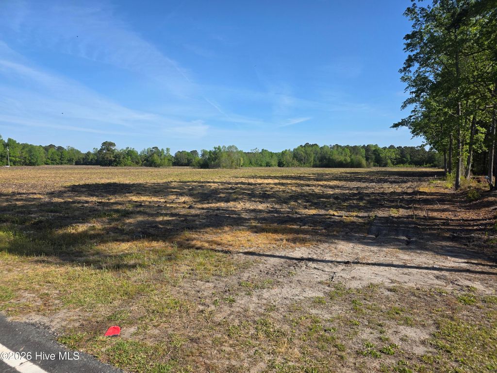 Photo of 3917 Gaddy Road, Fairmont, NC 28340 (MLS # 100566660)