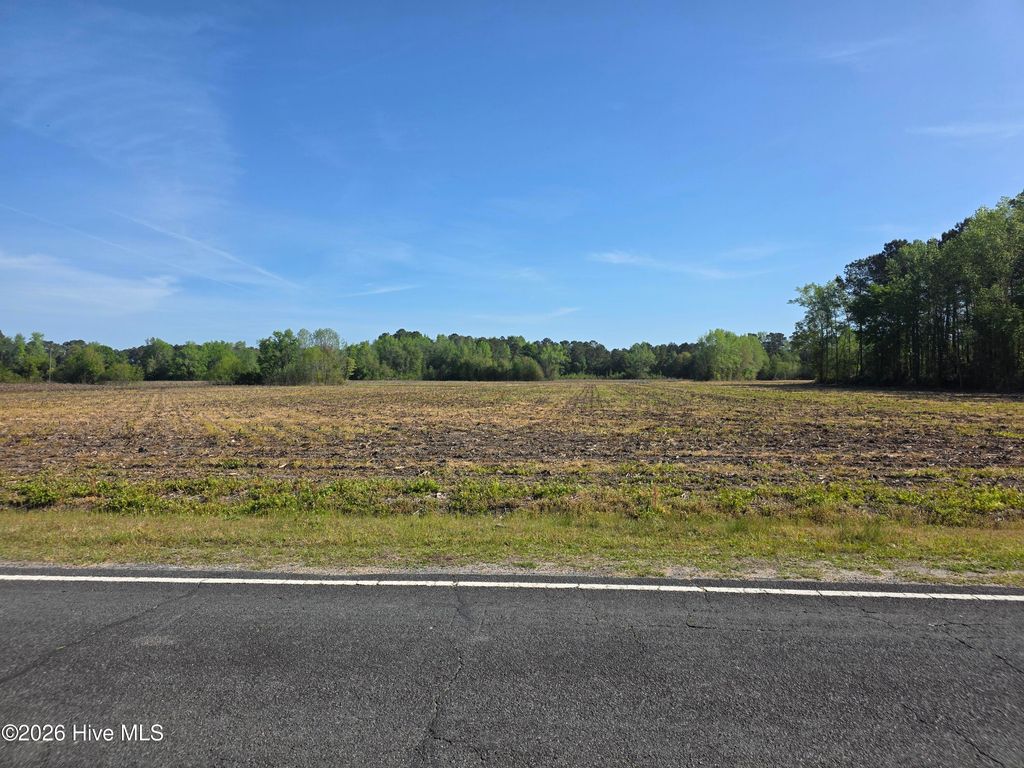 Photo of 3917 Gaddy Road, Fairmont, NC 28340 (MLS # 100566660)