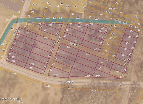 Vacant Land For Sale - Wayne Avenue<br/> Wayne County, Goldsboro, NC 27530