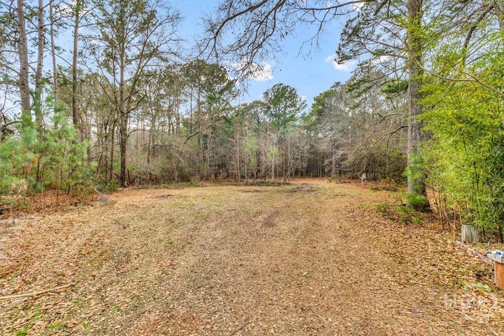 Photo of 222 Wallace Circle, Bloomingdale, GA 31302 (MLS # SA349858)