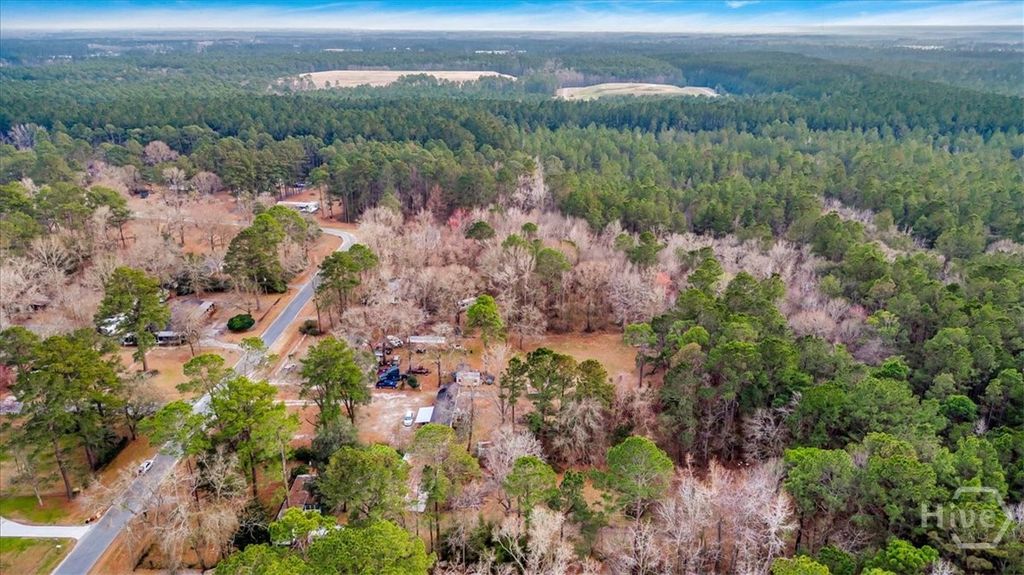 Photo of 222 Wallace Circle, Bloomingdale, GA 31302 (MLS # SA349858)