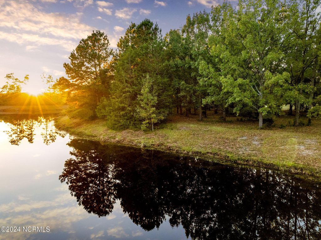 Photo of 115 Mimosa Court, Wallace, NC 28466 (MLS # 100472928)