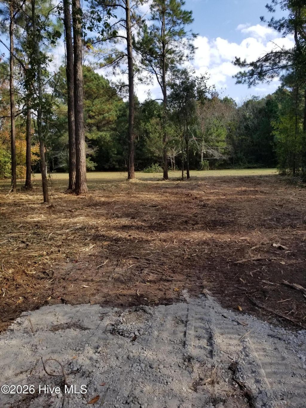 Photo of 0 Joans Haven Drive, Newport, NC 28570 (MLS # 100547201)