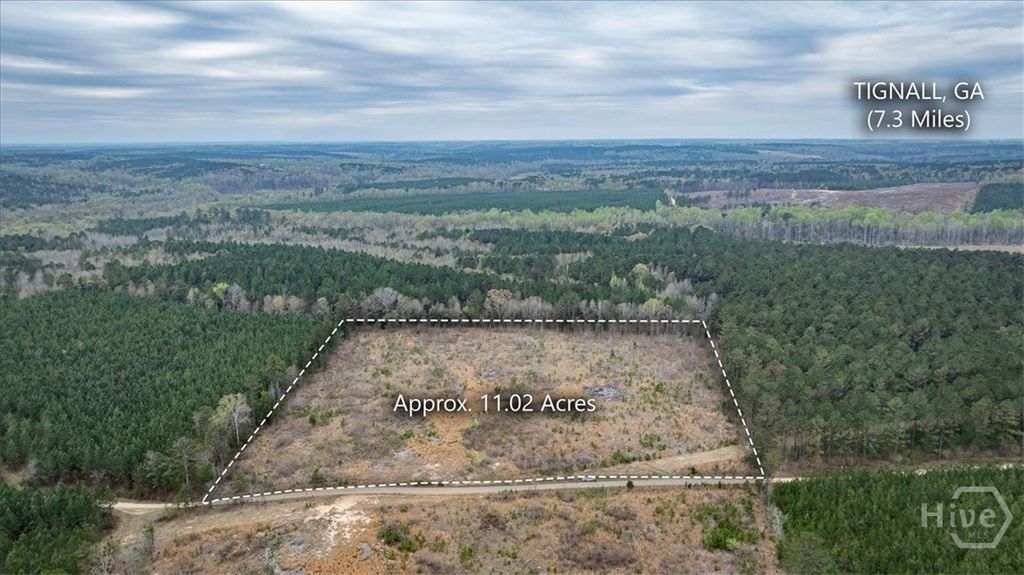 Photo of 0 Fannie Matt Clark Road, Tignall, GA 30668 (MLS # CL352361)