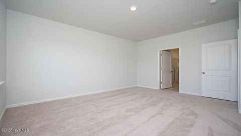 Tiny photo for 1050 Pampas Grass Drive #Lot 334, Castle Hayne, NC 28429 (MLS # 100555688)