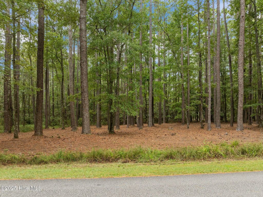 Photo of 120 Pamlico River Drive Drive, Washington, NC 27889 (MLS # 100529890)