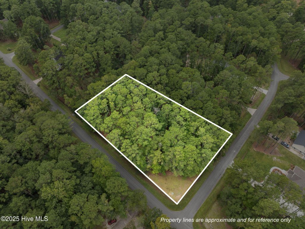 Photo of 120 Pamlico River Drive Drive, Washington, NC 27889 (MLS # 100529890)