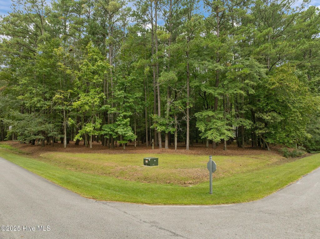 Photo of 120 Pamlico River Drive Drive, Washington, NC 27889 (MLS # 100529890)