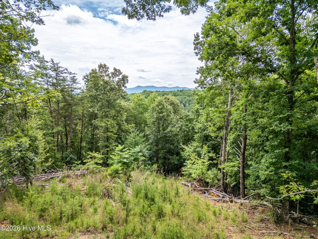 Photo of 1 Stormy Ridge, Brasstown, NC 28902 (MLS # 100584773)