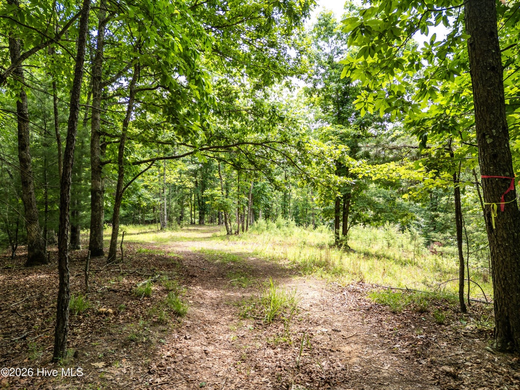Photo of 1 Stormy Ridge, Brasstown, NC 28902 (MLS # 100584773)