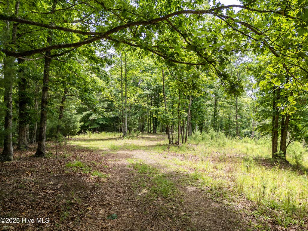 Photo of 1 Stormy Ridge, Brasstown, NC 28902 (MLS # 100584773)