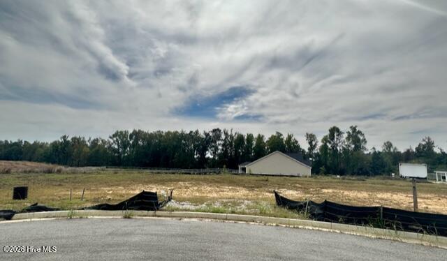 Photo of 1008 Berkley Court, Thomson, GA 30824 (MLS # 100612499)