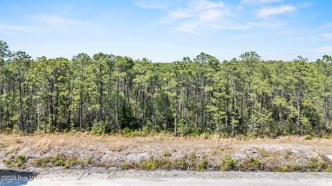 Tiny photo for 267 Plantation Road, Wilmington, NC 28411 (MLS # 100571875)