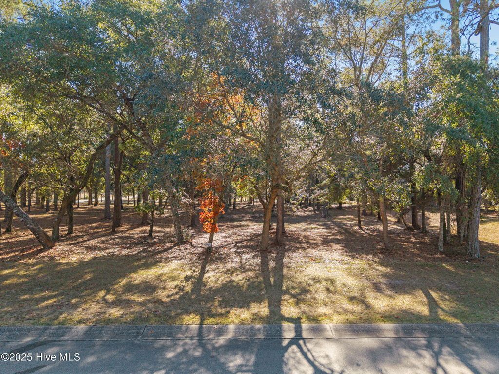 Photo of 591 Versailles Boulevard SW, Supply, NC 28462 (MLS # 100545222)