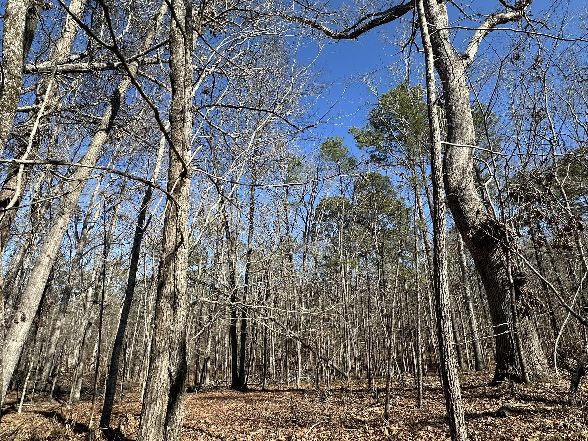 117 Cumberland Drive