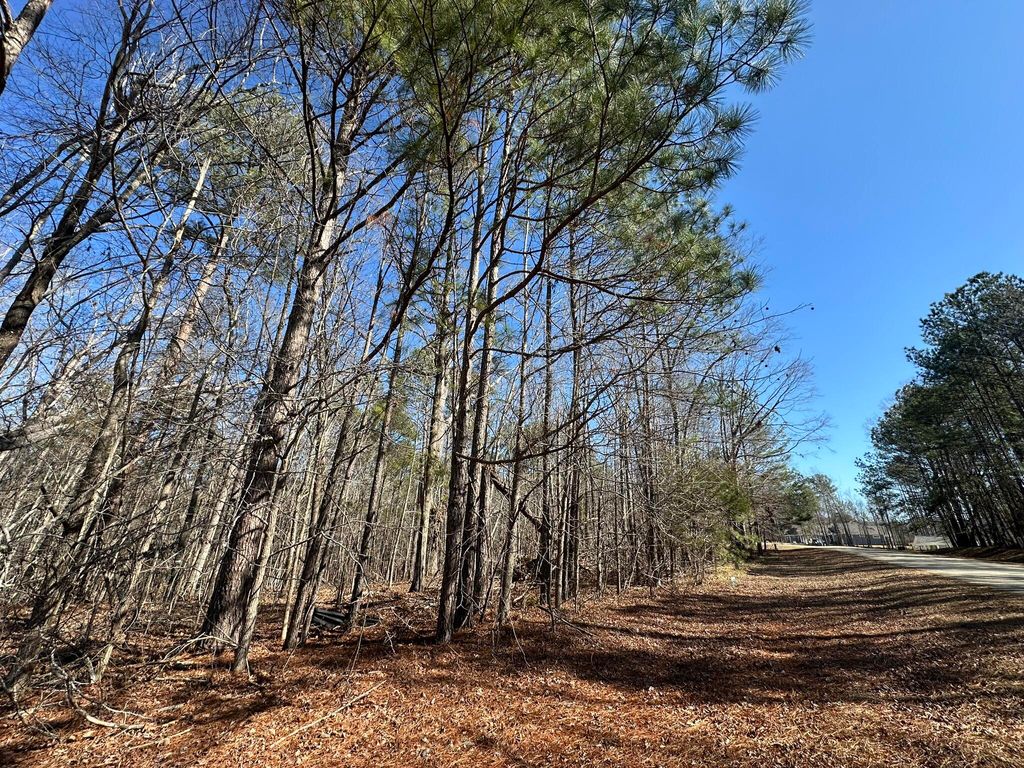 Photo of 117 Cumberland Drive, McCormick, SC 29835 (MLS # 551911)