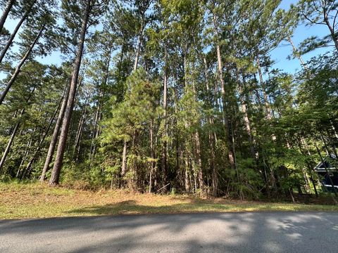 Vacant Land For Sale - B14 L5 Tara Drive<br/> McCormick, SC 29835