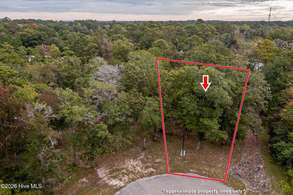 Photo of 1764 Oyster Harbour Parkway SW, Supply, NC 28462 (MLS # 100608707)