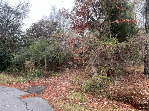 Vacant Land For Sale - 140 Magnolia Drive<br/> Edenton, NC 27932