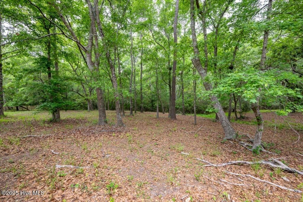 Photo of 21 Bay Creek Drive, Shallotte, NC 28470 (MLS # 100506271)