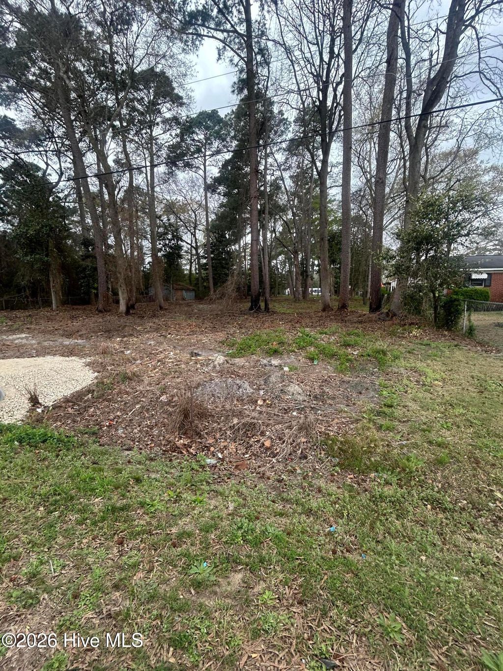 Photo of 205 Nancy Drive, Dudley, NC 28333 (MLS # 100577429)