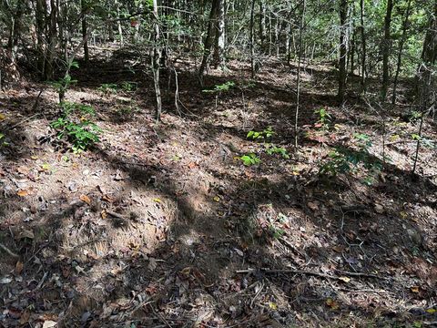 Vacant Land For Sale - LOT 6 Beaverdam Loop<br/> Murphy, NC 28906