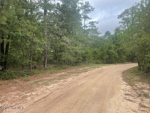 Vacant Land For Sale - 300 Gardenia Lane<br/> White Oak, NC 28399