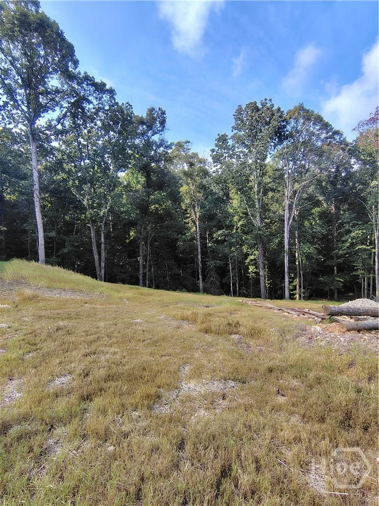 245 Brad St, Royston, GA, 30662