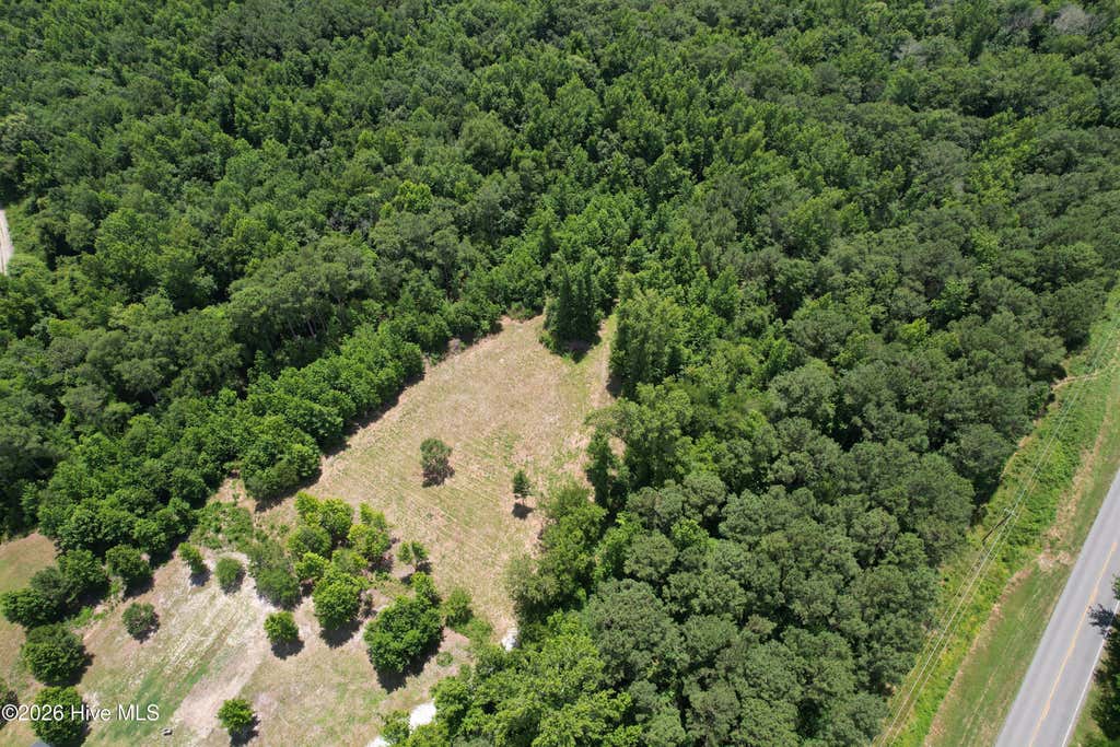 Photo of 00 Old Chinquapin Road, Beulaville, NC 28518 (MLS # 100584338)