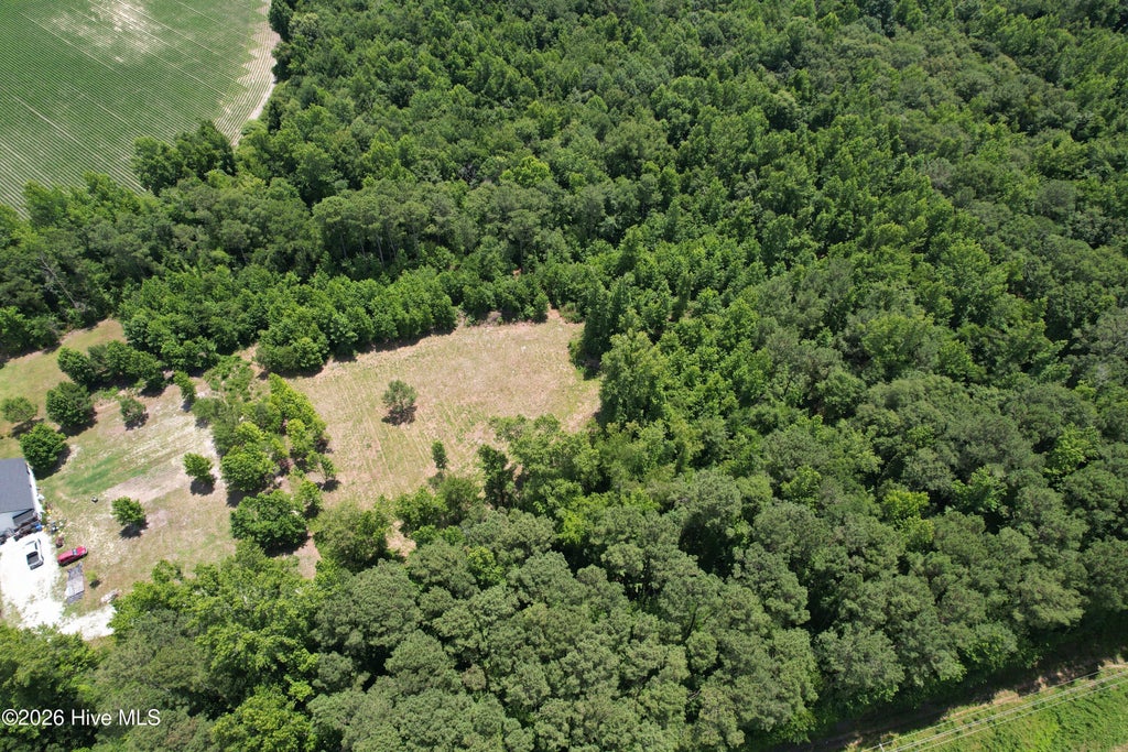 Photo of 00 Old Chinquapin Road, Beulaville, NC 28518 (MLS # 100584338)