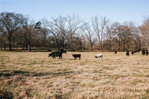 Vacant Land For Sale - Ralph Bridges Road<br/> Lexington, GA 30648