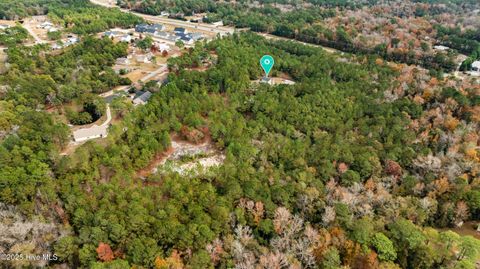 Tiny photo for 21801 Us-17, Hampstead, NC 28443 (MLS # 100543547)