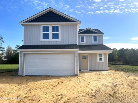 Homes For Sale - 285 Buggy Top Lane<br/> Sampson County, Autryville, NC 28318