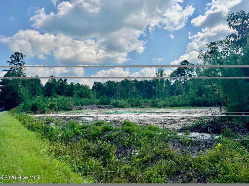 Photo of 436 Near 436 Giles Byrd Road, Hallsboro, NC 28442 (MLS # 100601596)