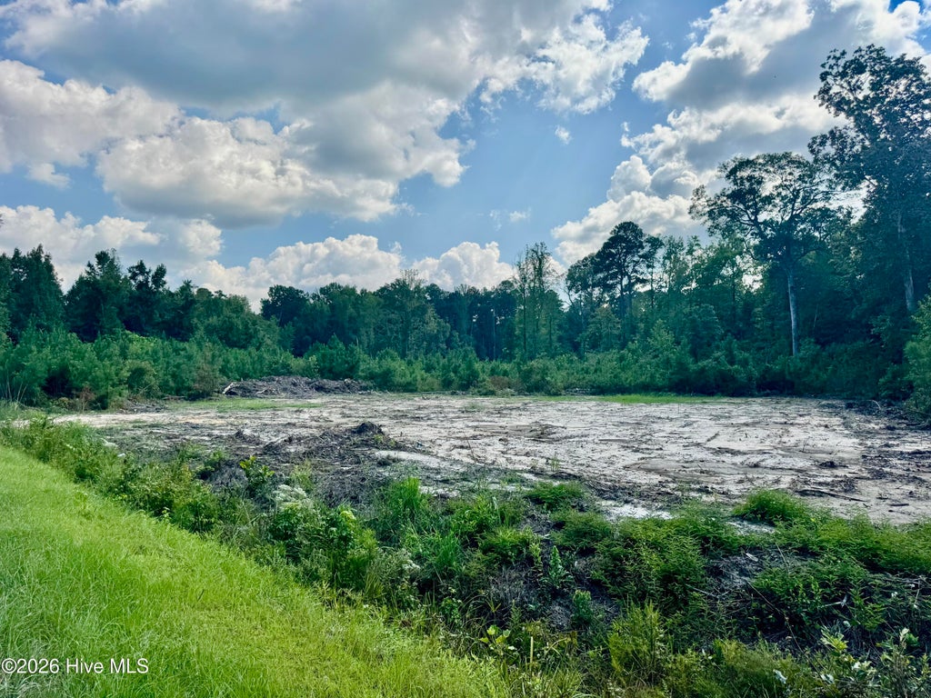 Photo of 436 Near 436 Giles Byrd Road, Hallsboro, NC 28442 (MLS # 100601596)