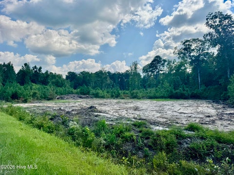 Vacant Land For Sale - 0 NEAR 436 Near 436 Giles Byrd Road<br/> Hallsboro, NC 28442