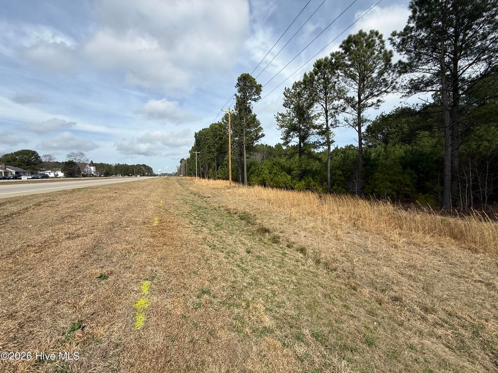 Photo of 4800 Us 70 Bus Highway W, Clayton, NC 27520 (MLS # 100559353)
