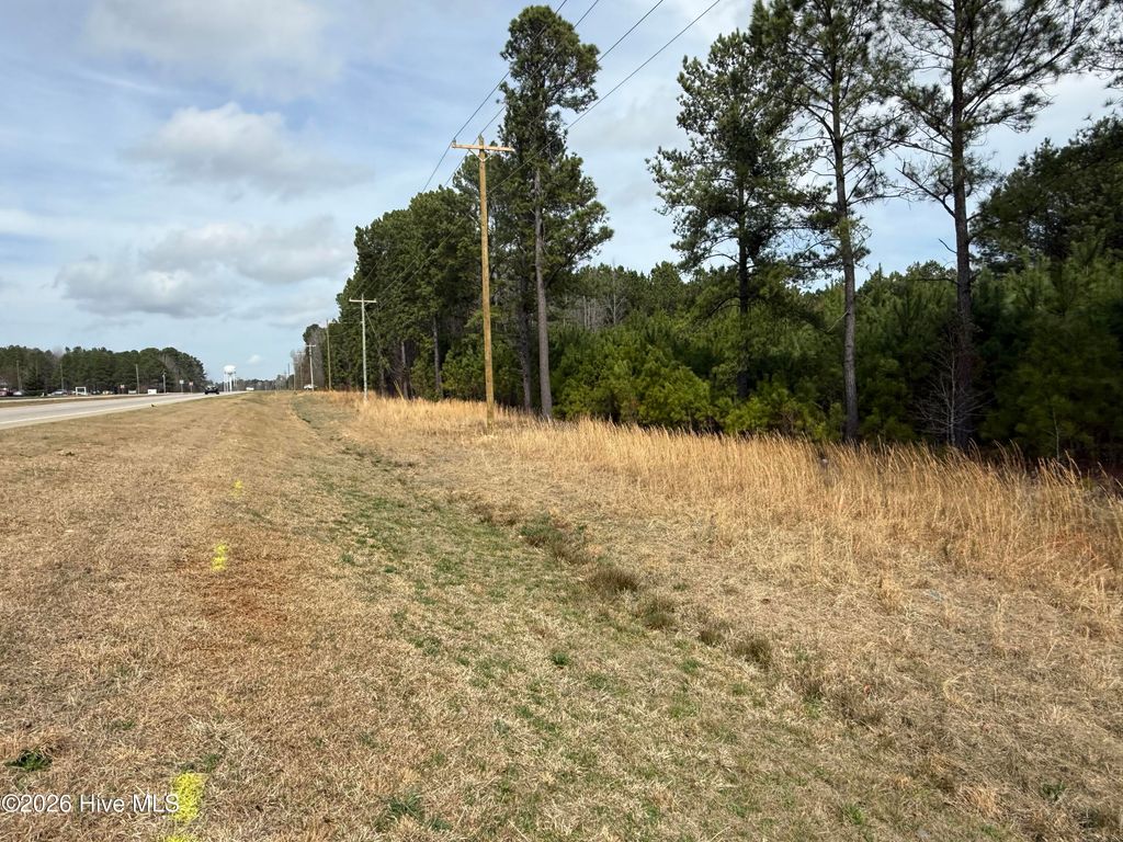 Photo of 4800 Us 70 Bus Highway W, Clayton, NC 27520 (MLS # 100559353)