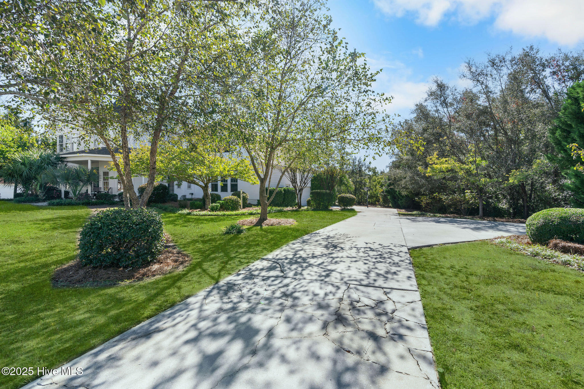 8119 Yellow Daisy Drive