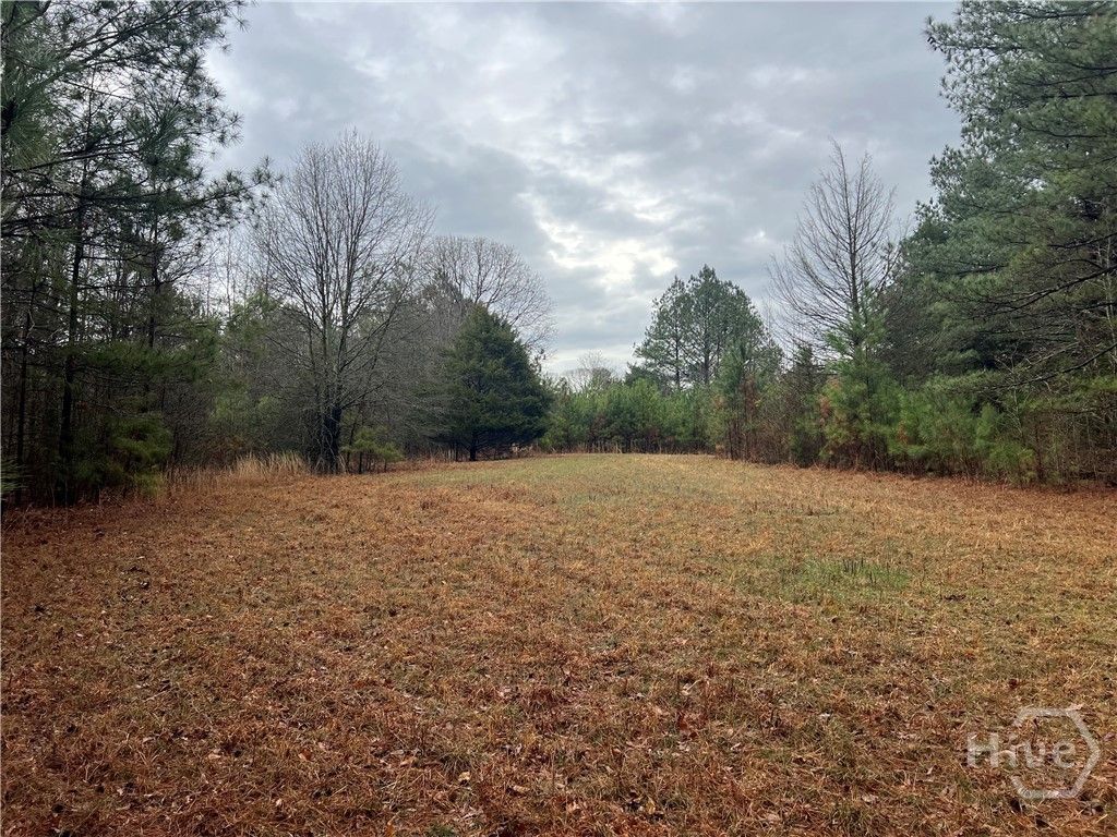 Photo of X Ga-172, Comer, GA 30629 (MLS # CL351188)