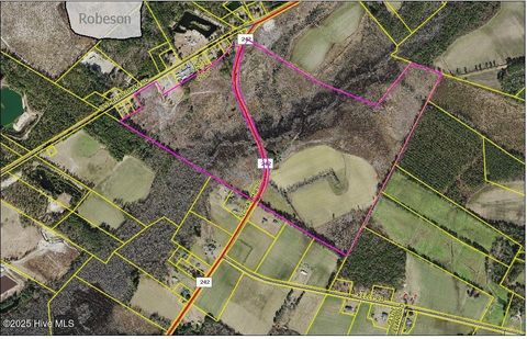 Vacant Land For Sale - Nc 242 Highway<br/> Bladen County, Bladenboro, NC 28320